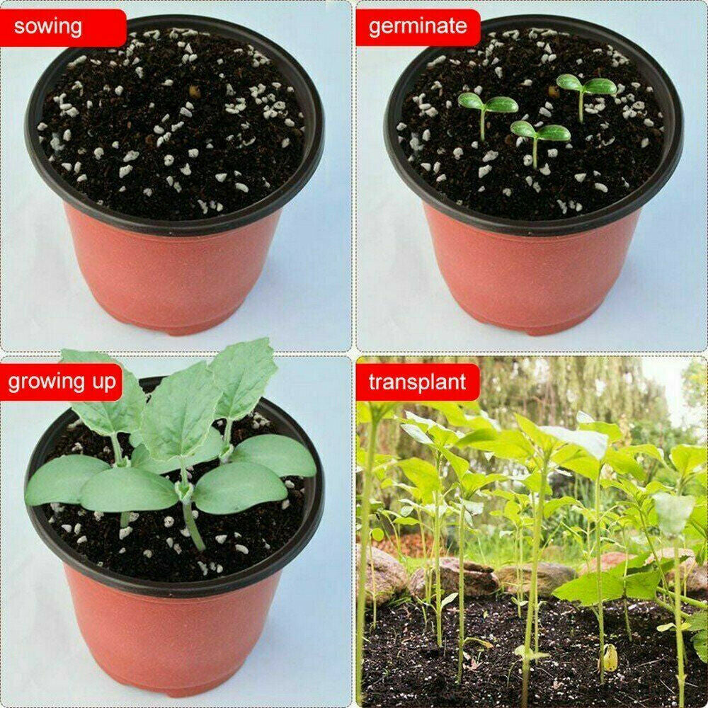 100 PCS 12Cm Plastic Plant Flower Pots Nursery Seedlings Container Flowerpot
